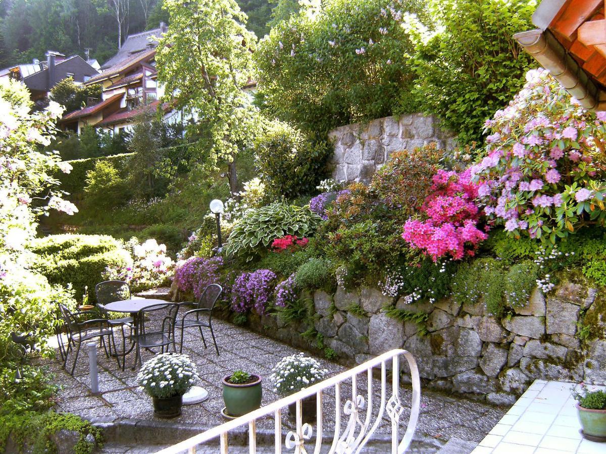 Apartment Maier-2 By Interhome Triberg im Schwarzwald Eksteriør bilde