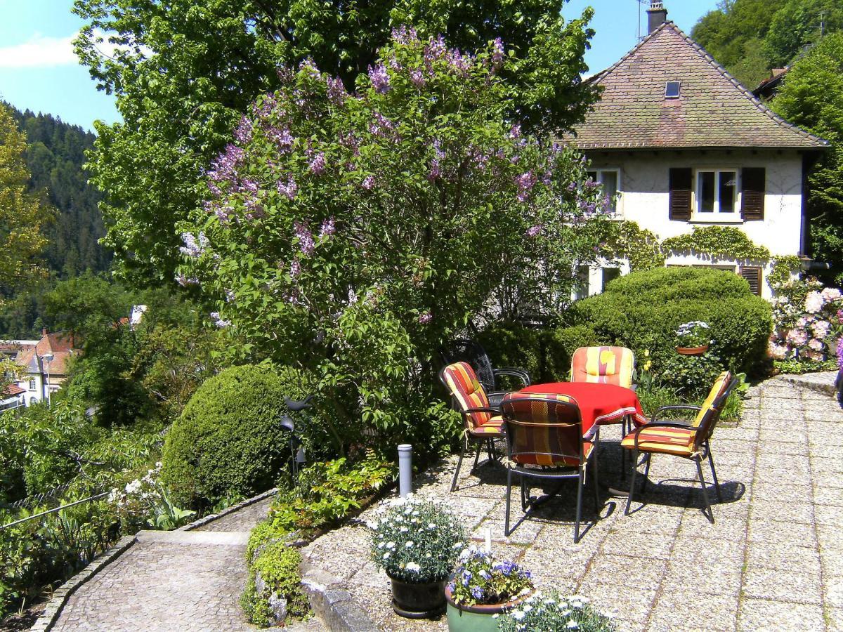 Apartment Maier-2 By Interhome Triberg im Schwarzwald Eksteriør bilde